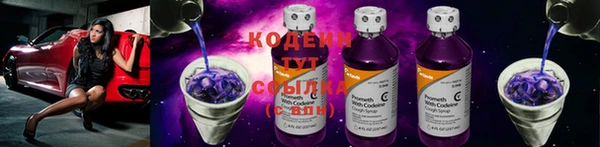 гашик Козельск