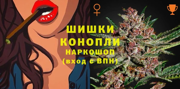 гашик Козельск