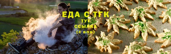 гашик Козельск
