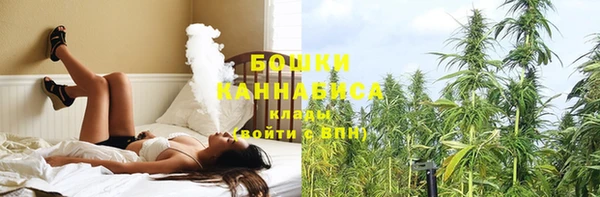 гашик Козельск