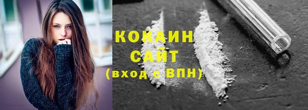 гашик Козельск