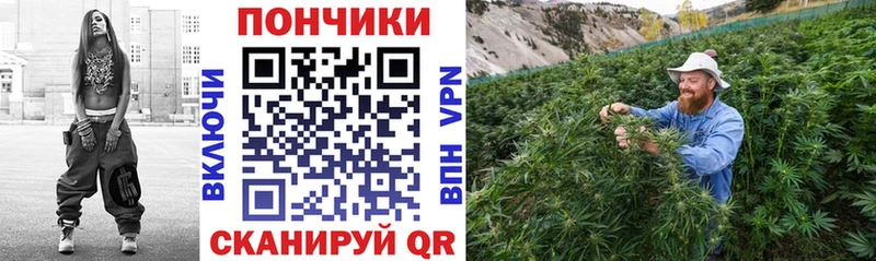 Каннабис OG Kush  Купить  Салехард 